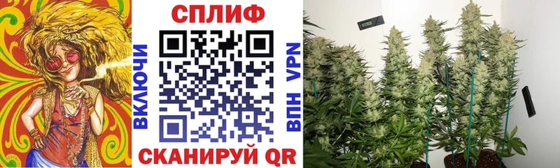 Шишки марихуана индика  Шиханы 